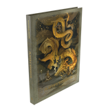 Player's Handbook 2024 Dungeons and Dragons
