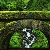 Stonemoss Chapel 6oz Candle: Single 6oz