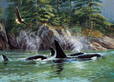 Orcas 1000pc puzzle