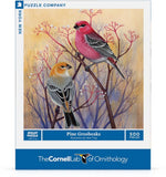 Pine Grosbeaks - 500 Piece Jigsaw Puzzle
