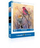 Pine Grosbeaks - 500 Piece Jigsaw Puzzle