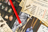 Escape from the Museum (D.8)