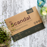 Escape Room | Puzzle Game | Board Game | The Scandal