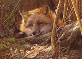 A Touch of Warmth 500pc puzzle
