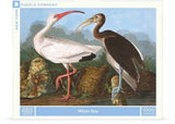 White Ibis - 1000 Piece Jigsaw Puzzle