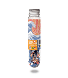 Off California - Artist Viz Summer Coast Fun