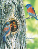 Western Bluebird Mini - 100 Piece Mini Puzzle