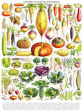 Vegetables ~ Légumes - 1000 Piece Jigsaw Puzzle