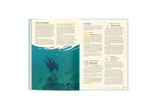 Obojima DnD 5E Studio Ghibli Inspired Hardcover Book