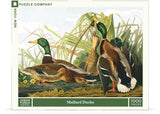 Mallard Ducks - 1000 Piece Jigsaw Puzzle