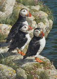 Fisherman's Wharf 500pc puzzle