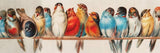 Perch - 1000 Piece Jigsaw Puzzle