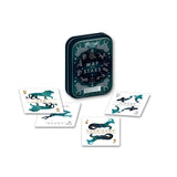 Map of the Stars Playing Cards