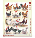 Poules ~ Poultry - 500 Piece Jigsaw Puzzle