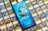 Ark Nova: Marine Worlds: Expansion / 120 minutes / 1-4 Players
